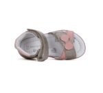 Gelsvos basutės 20-24 d. G075-41562A - Image 4