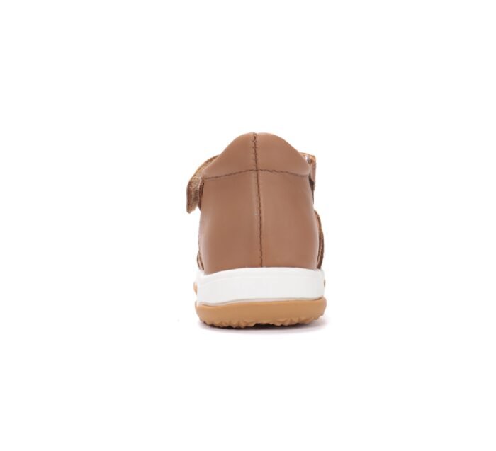 Rudos basutės 20-25 d. G064-61849 - Image 2